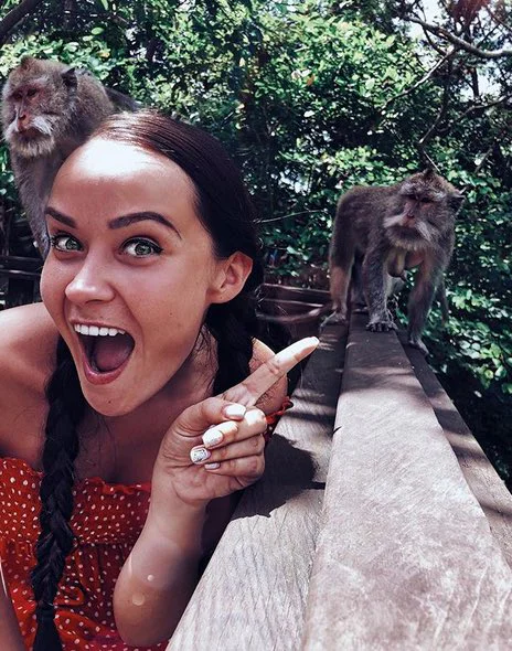 things to do on your bali honeymoon - ubud monkey forest