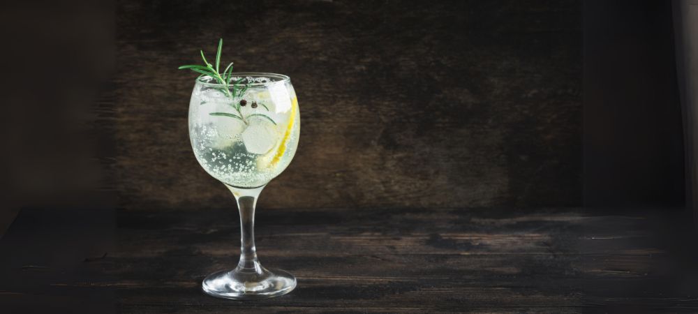 5. Citrusy Gin and Tonic