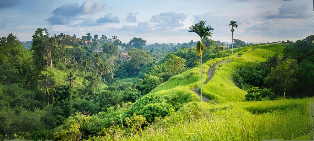 Start Your Journey in Ubud_ The Heart of Bali